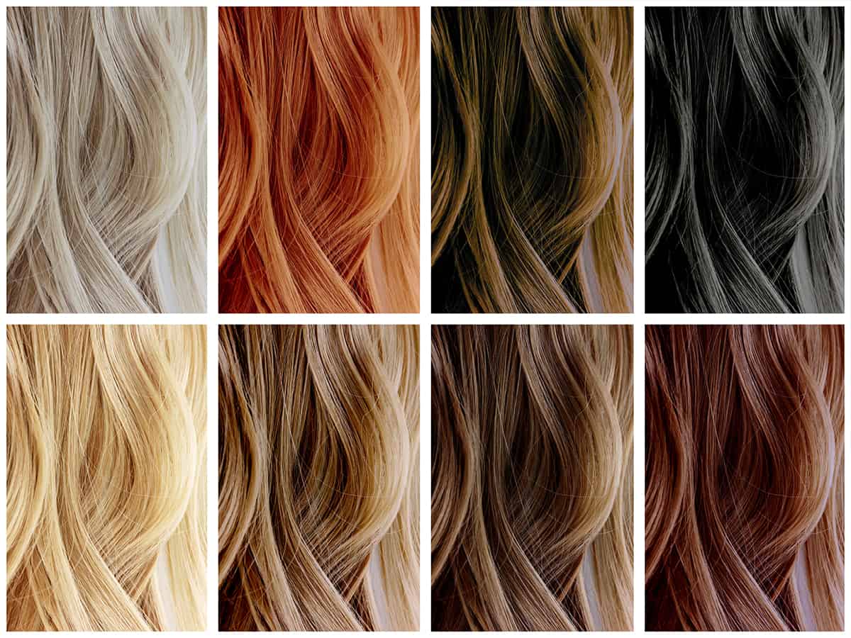 haarfarben1 haarfarben1